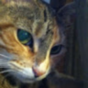 Meet your Posher, Deborah